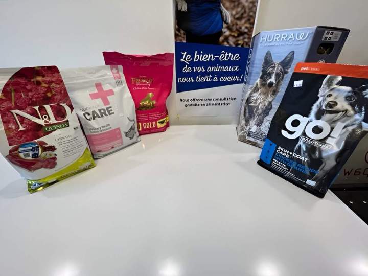 Canine food Gatineau