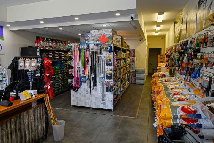 nutrik9plus25