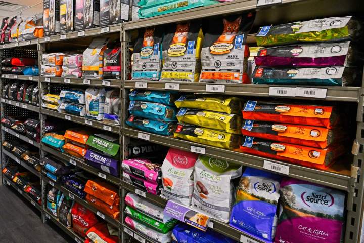 Nourriture pour chats Gatineau